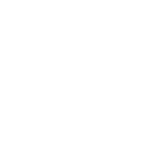 Document icon