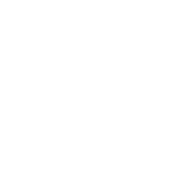 Wallet icon